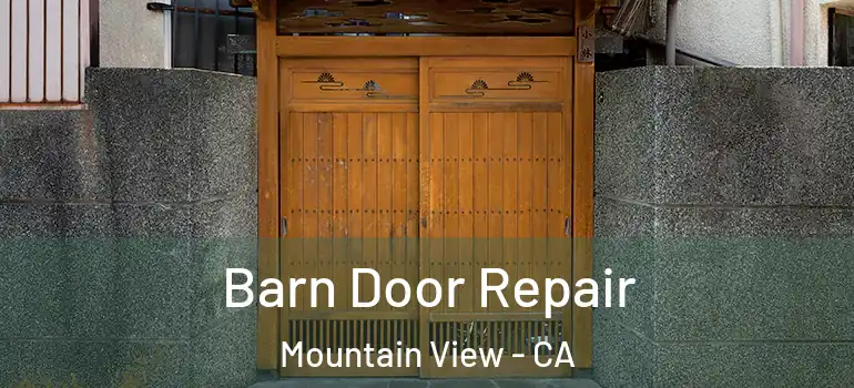  Barn Door Repair Mountain View - CA