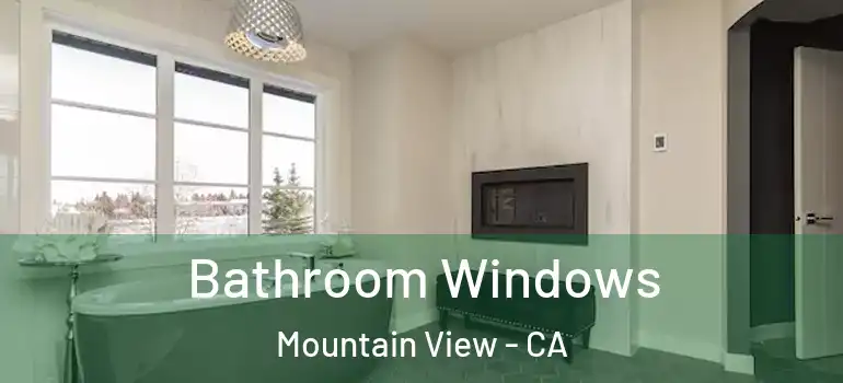  Bathroom Windows Mountain View - CA