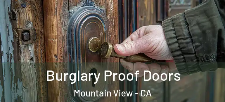  Burglary Proof Doors Mountain View - CA
