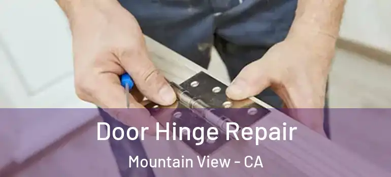  Door Hinge Repair Mountain View - CA