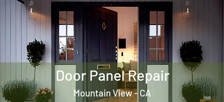  Door Panel Repair Mountain View - CA