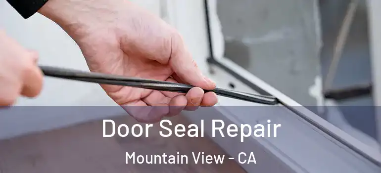 Door Seal Repair Mountain View - CA
