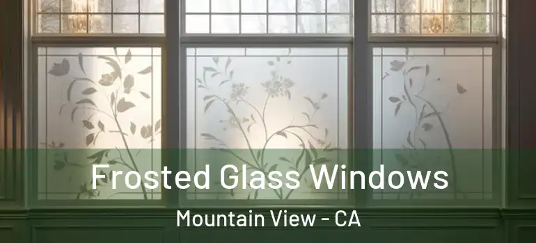  Frosted Glass Windows Mountain View - CA