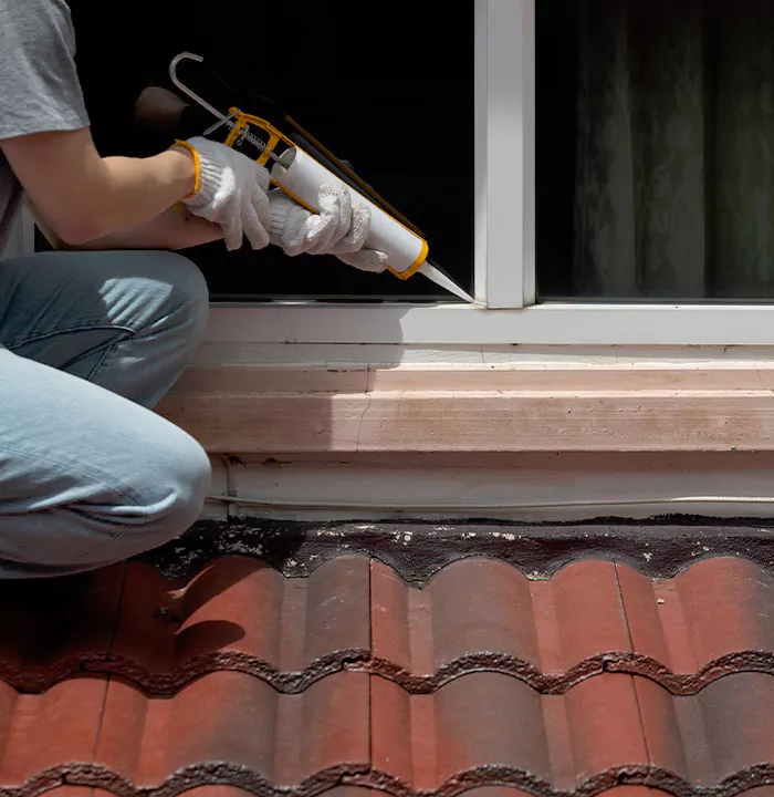 Roof Window Services in Mountain View, California