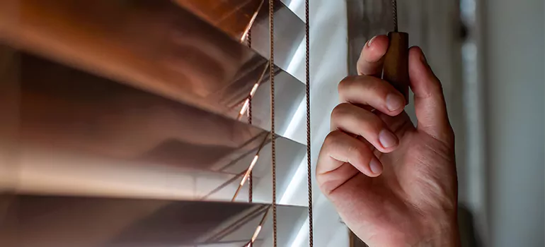 Double Roller Blinds in Mountain View, CA
