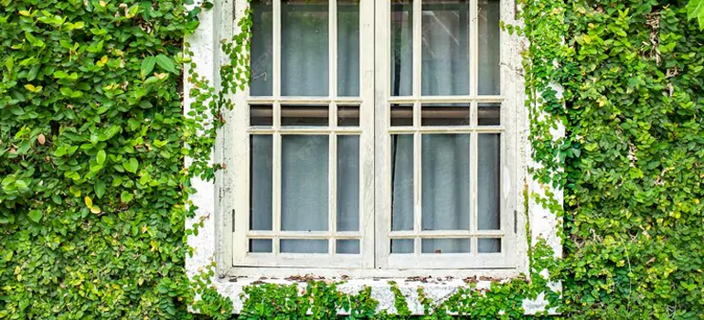 Garden Window Repair Near Me in Mountain View, CA