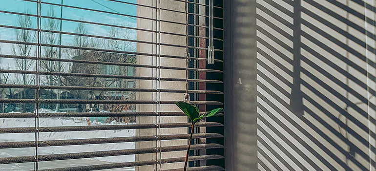 Commercial Window Blinds in Mountain View, CA