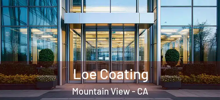  Loe Coating Mountain View - CA
