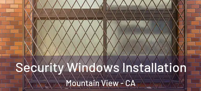  Security Windows Installation Mountain View - CA
