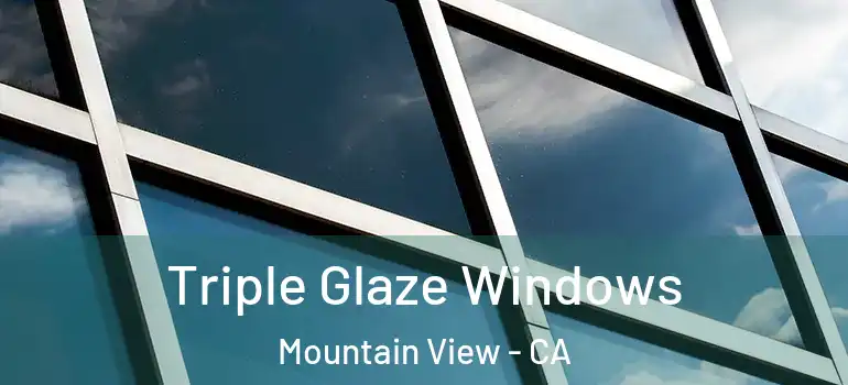  Triple Glaze Windows Mountain View - CA