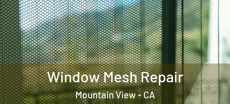  Window Mesh Repair Mountain View - CA