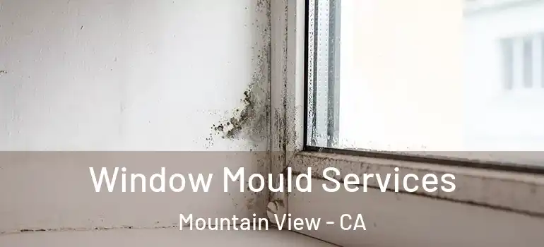  Window Mould Services Mountain View - CA
