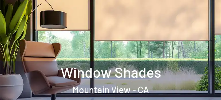  Window Shades Mountain View - CA